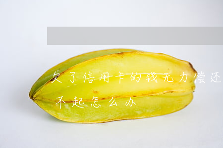 欠了信用卡的钱无力偿还怎么办-信用卡还不起怎么办