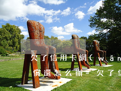 欠了信用卡網(wǎng)貸20多萬無力償還怎么辦-欠了信用卡網(wǎng)貸20多萬無力償還怎么辦呢