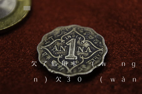 欠了信用卡網(wǎng)貸30萬(wàn)(欠30萬(wàn)網(wǎng)貸信用卡怎么還)
