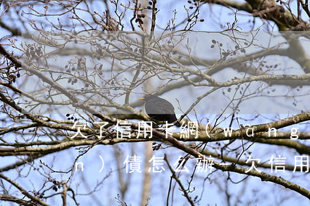 欠了信用卡網(wǎng)貸50萬(wàn)債怎么辦-欠信用卡網(wǎng)貸50萬(wàn)無(wú)法償還怎么辦