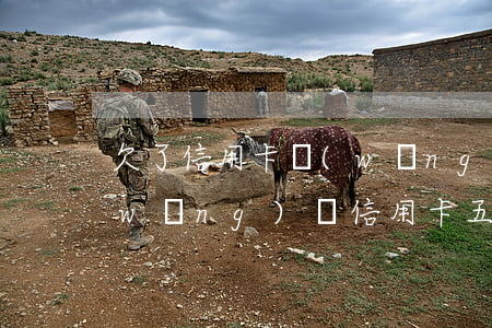欠了信用卡網(wǎng)貸50萬(欠網(wǎng)貸信用卡五十多萬)