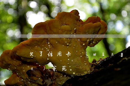 欠了信用卡網(wǎng)貸60萬(wàn)等死