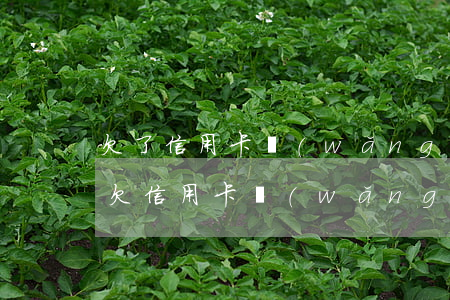 欠了信用卡網(wǎng)貸不敢告訴老公(欠信用卡網(wǎng)貸錢就算跟家人說也不會幫我還的)