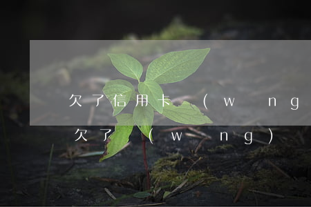 欠了信用卡網(wǎng)貸人沒了怎么辦(欠了網(wǎng)貸能申請信用卡嗎)