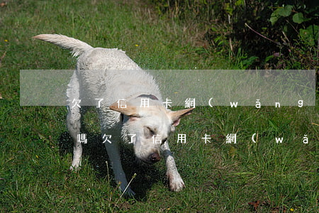 欠了信用卡網(wǎng)貸幾十萬要坐牢嗎(欠了信用卡網(wǎng)貸幾十萬要坐牢嗎)