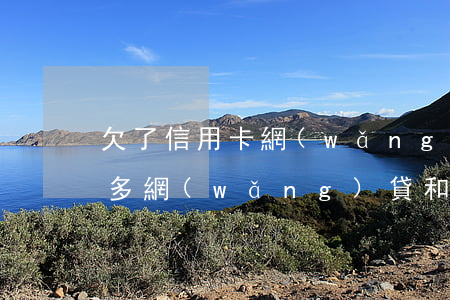 欠了信用卡網(wǎng)貸怎么辦(欠了很多網(wǎng)貸和信用卡怎么辦)