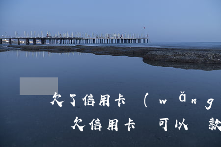 欠了信用卡網(wǎng)貸還能貸款買車嗎(欠信用卡還可以貸款買車嗎)