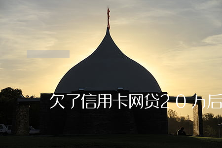 欠了信用卡网贷20万后失踪了-
