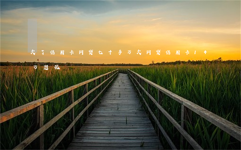 欠了信用卡网贷七十多万(欠网贷信用卡14万想死)