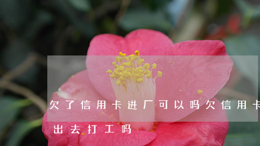欠了信用卡进厂可以吗(欠信用卡还不上,可以出去打工吗?)