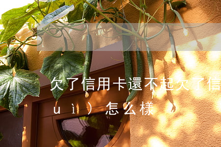 欠了信用卡還不起(欠了信用卡還不起會(huì)怎么樣)