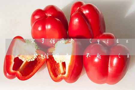 欠了信用卡錢(qián)不還怎么辦(如果欠信用卡還不起會(huì)怎樣處理)