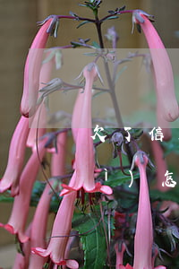 欠了信用卡錢兩年沒(méi)還會(huì)怎么樣（欠了信用卡錢兩年沒(méi)還）