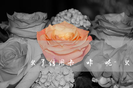 欠了信用卡錢咋還呢-欠信用卡怎么還劃算