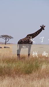 欠了信用卡钱两年没还会怎么样（欠了信用卡钱两年没还）