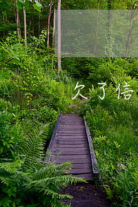 欠了信用钱包的钱没还