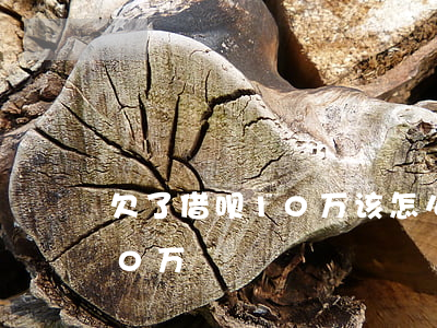 欠了借呗10万该怎么还(支付宝借呗欠款10万)