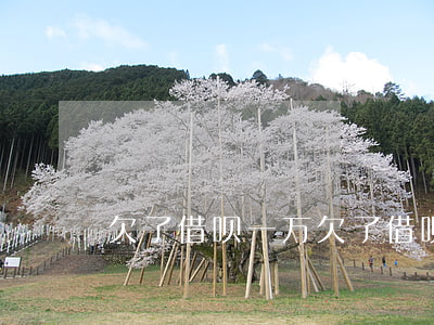 欠了借呗一万(欠了借呗一万多块钱逾期了)