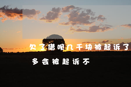 欠了借呗几千块被起诉了怎么办(欠借呗2万多会被起诉不)
