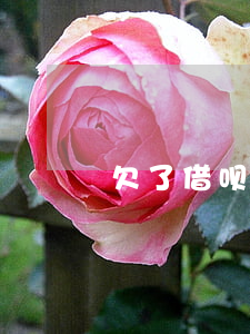 欠了借呗能供房吗(借呗有欠款能买房么)