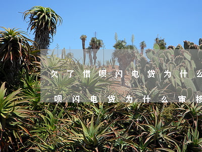 欠了借呗闪电贷为什么审核不通过-欠了借呗闪电贷为什么审核不通过呢