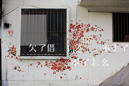 欠了借唄12萬還不上了咋辦(借唄欠款十幾萬塊錢還不了怎么辦)