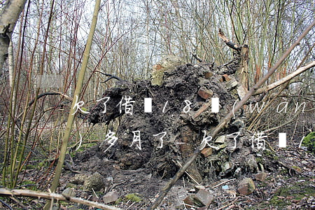 欠了借唄18萬(wàn)逾期3個(gè)多月了-欠了借唄18萬(wàn)逾期3個(gè)多月了怎么辦