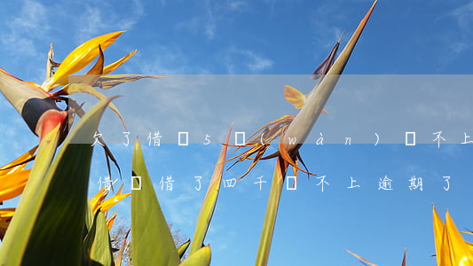 欠了借唄5萬(wàn)還不上可以延期嗎(借唄借了四千還不上逾期了)