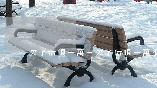 欠了借唄一萬三(欠了借唄一萬不還)