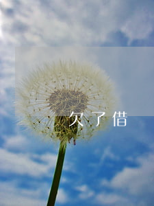 欠了借唄七萬怎么辦(借唄七萬多還不上怎么辦)