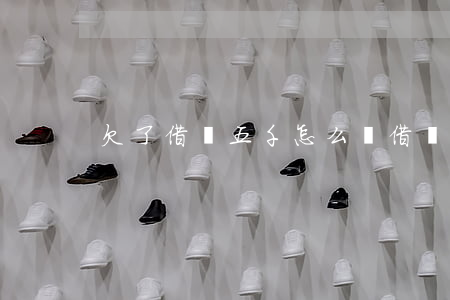 欠了借唄五千怎么辦(借唄五萬還不了怎么辦)