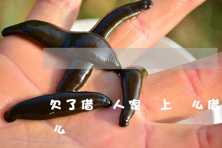 欠了借唄 人家會上門么(借唄逾期會有人上門么)