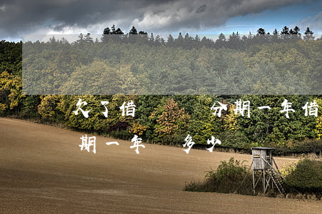 欠了借唄兩萬分期一年(借唄借20000分期一年還多少)