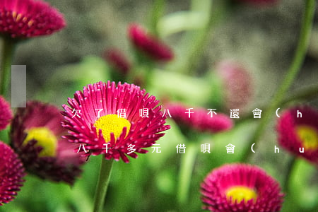 欠了借唄八千不還會(huì)被起訴嗎(欠八千多元借唄會(huì)不會(huì)被起訴)