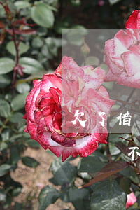 欠了借唄八千不還會被起訴嗎(欠八千多元借唄會不會被起訴)