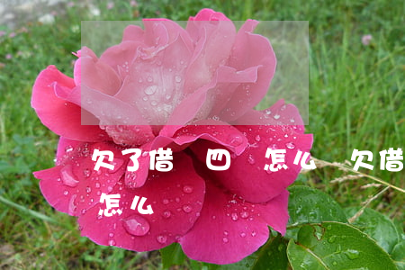 欠了借唄四萬怎么辦(欠借唄4萬短期還不上怎么辦)