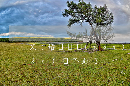 欠了借唄幾萬(wàn)還不(借唄幾萬(wàn)還不起了)