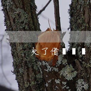 欠了借唄幾萬塊怎么辦(借唄幾萬還不起了)