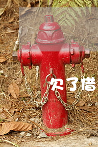 欠了借唄想開淘寶店(淘寶商家為什么沒有借唄)