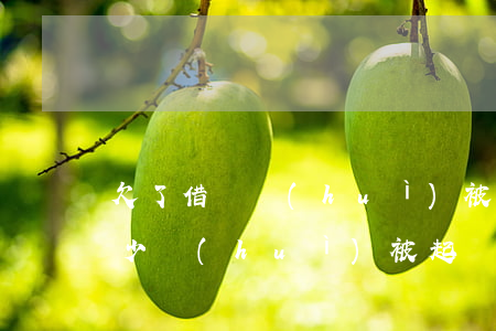 欠了借唄會(huì)被起訴嗎(借唄欠了多少會(huì)被起訴)