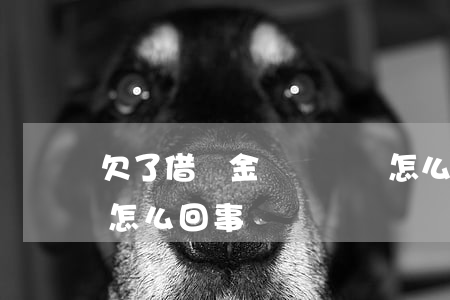 欠了借唄金條沒錢還怎么辦(金條借不了款了怎么回事)