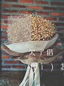 欠了借樂花不還怎么樣(樂花借款不還會(huì)怎樣)