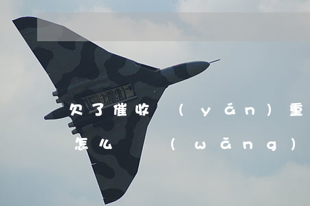 欠了催收嚴(yán)重網(wǎng)貸怎么辦(網(wǎng)貸還清后還被催收怎么辦)