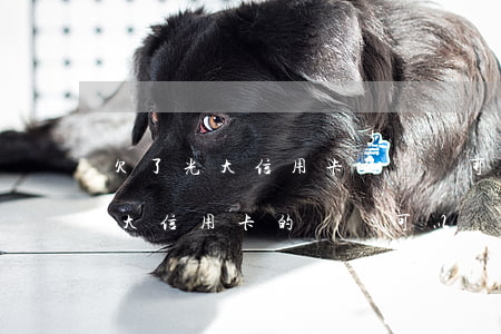 欠了光大信用卡的錢還可以辦卡嗎-欠了光大信用卡的錢還可以辦卡嗎安全嗎