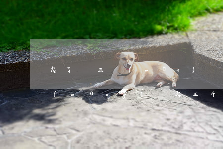 欠了兩三萬(wàn)網(wǎng)貸(網(wǎng)貸欠三千)