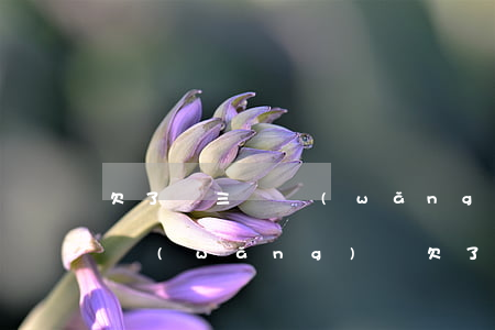 欠了兩三萬網(wǎng)貸還不起怎么辦(網(wǎng)貸欠了好幾萬還不起了怎么辦)