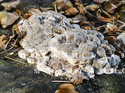 欠了兩個網(wǎng)貸還沒開始還可以借嗎-欠了兩個網(wǎng)貸還沒開始還可以借嗎怎么辦