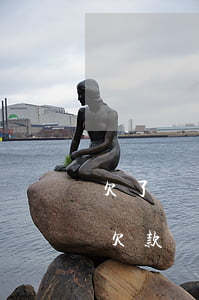 欠了兩千多萬(wàn)無(wú)力償還(欠款兩千多萬(wàn))