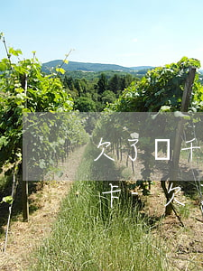 欠了兩千網(wǎng)貸會不會凍結銀行卡-欠了兩千網(wǎng)貸會不會凍結銀行卡呢