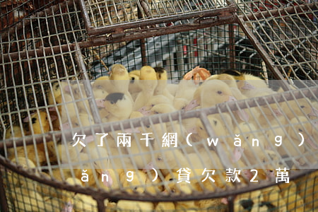 欠了兩千網(wǎng)貸流浪不還(網(wǎng)貸欠款2萬)